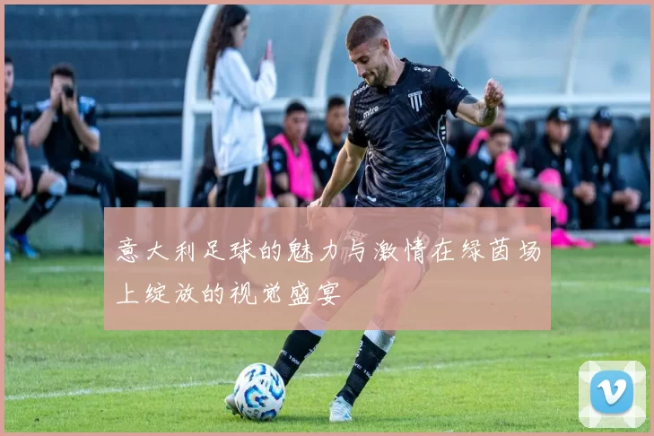 意大利足球的魅力与激情在绿茵场上绽放的视觉盛宴